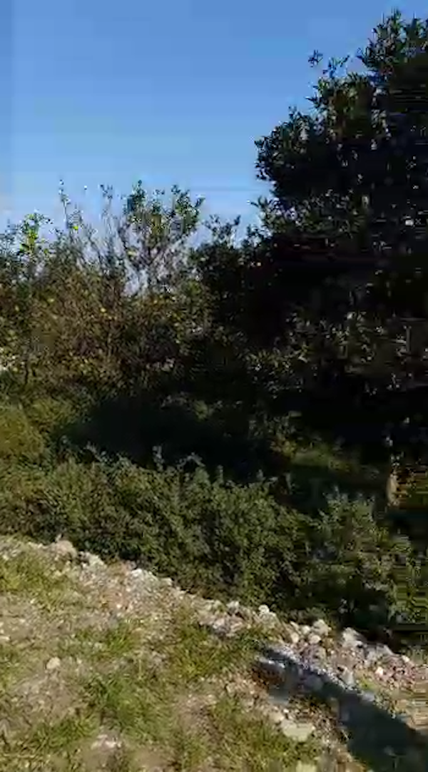  زمین با کاربری مسکونی داخل بافت