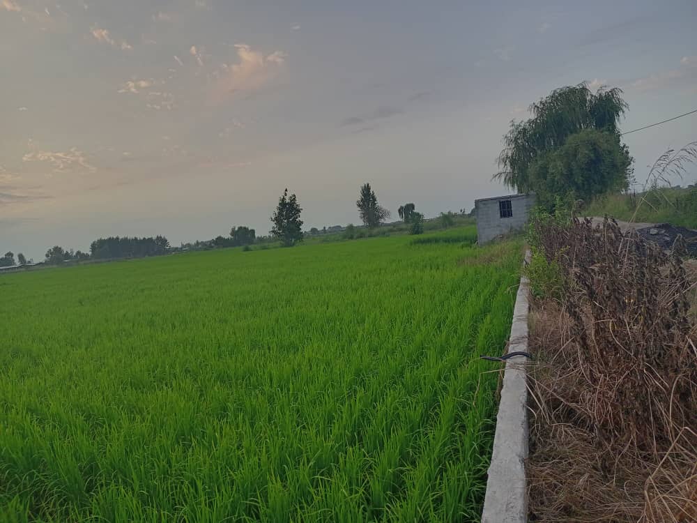 فروش زمین مسکونی داخل بافت لوکیشن رویایی