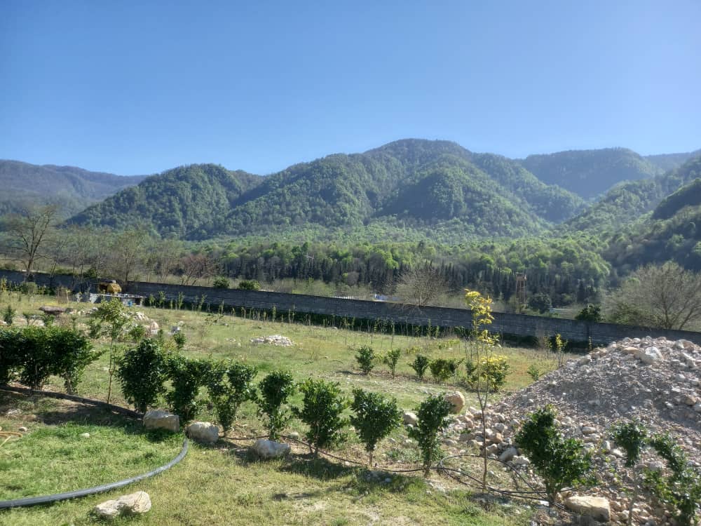 فروش زمین مسکونی نوشهر