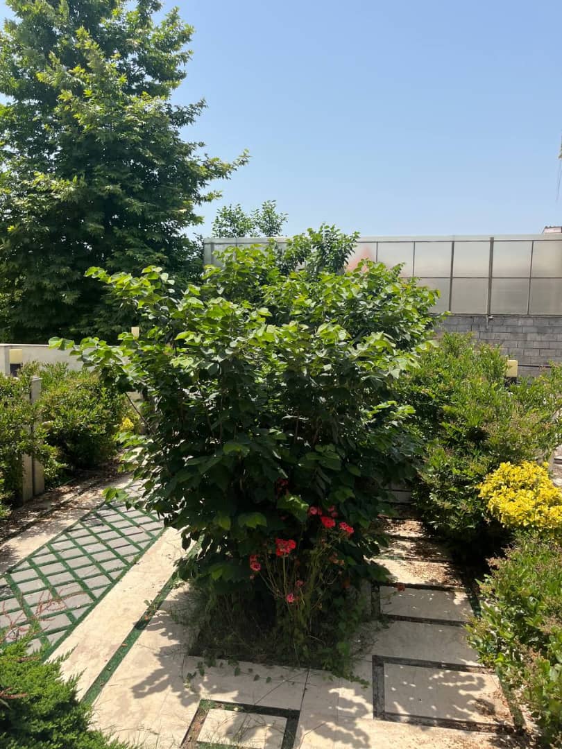 فروش ویلا دوبلکس 5 دقیقه تا دریا زیرقیمت