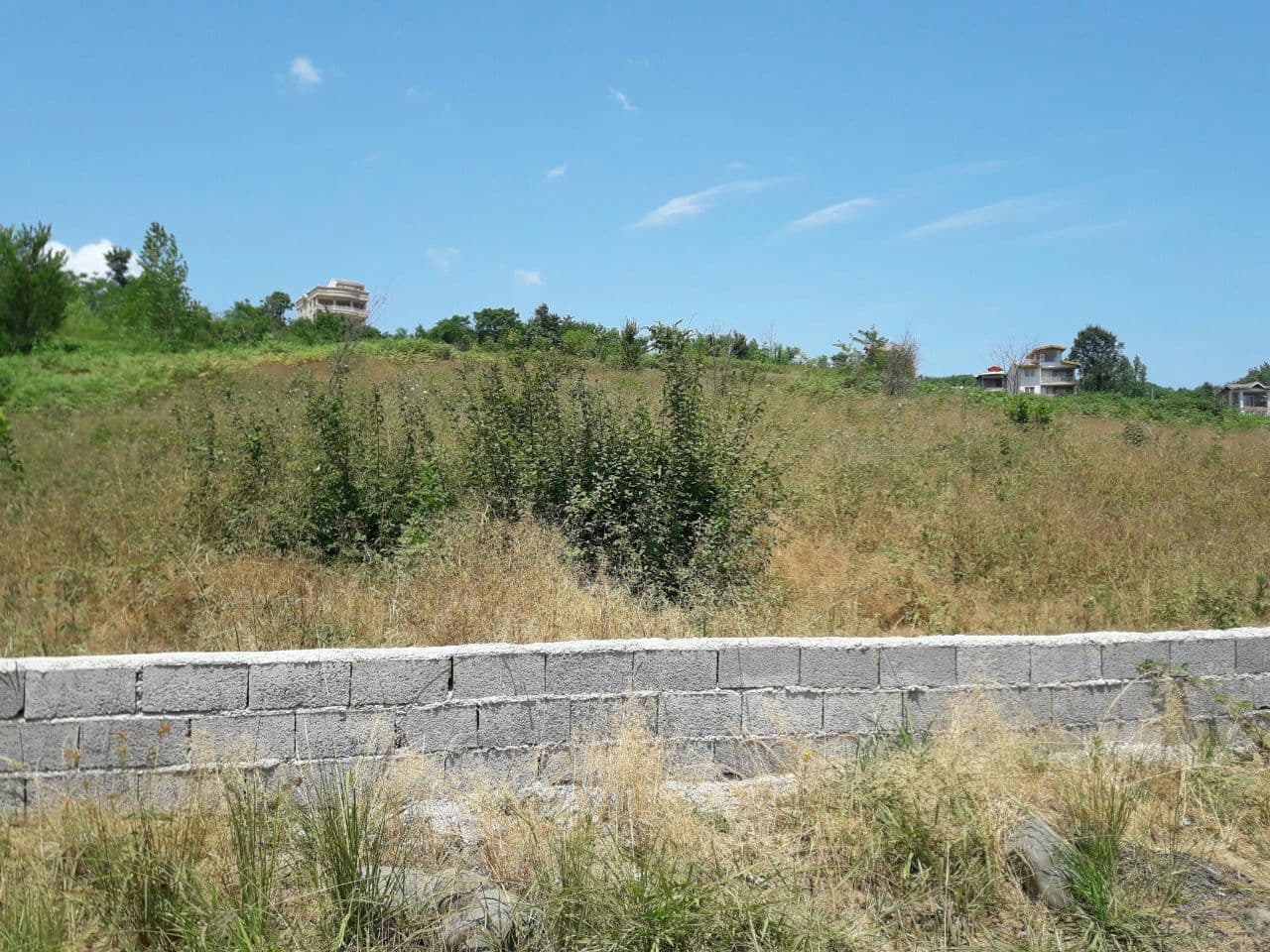 250متر زمین مسکونی داخل بافت شمال