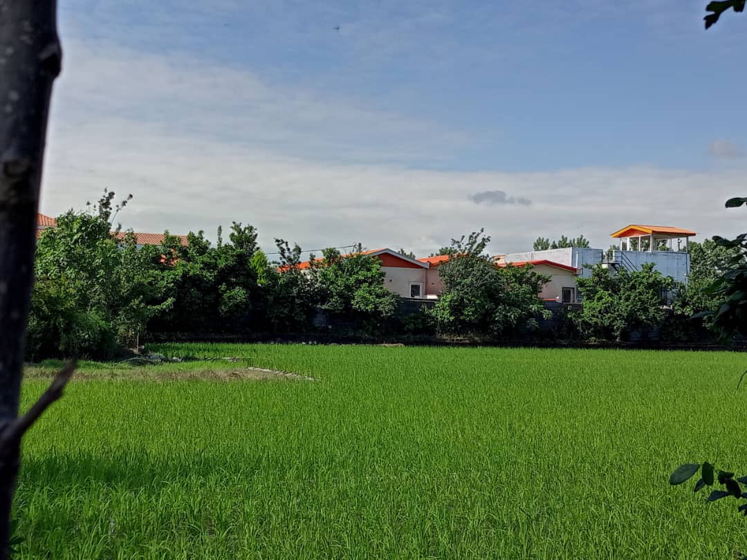  زمین کشاورزی چسبیده به بافت