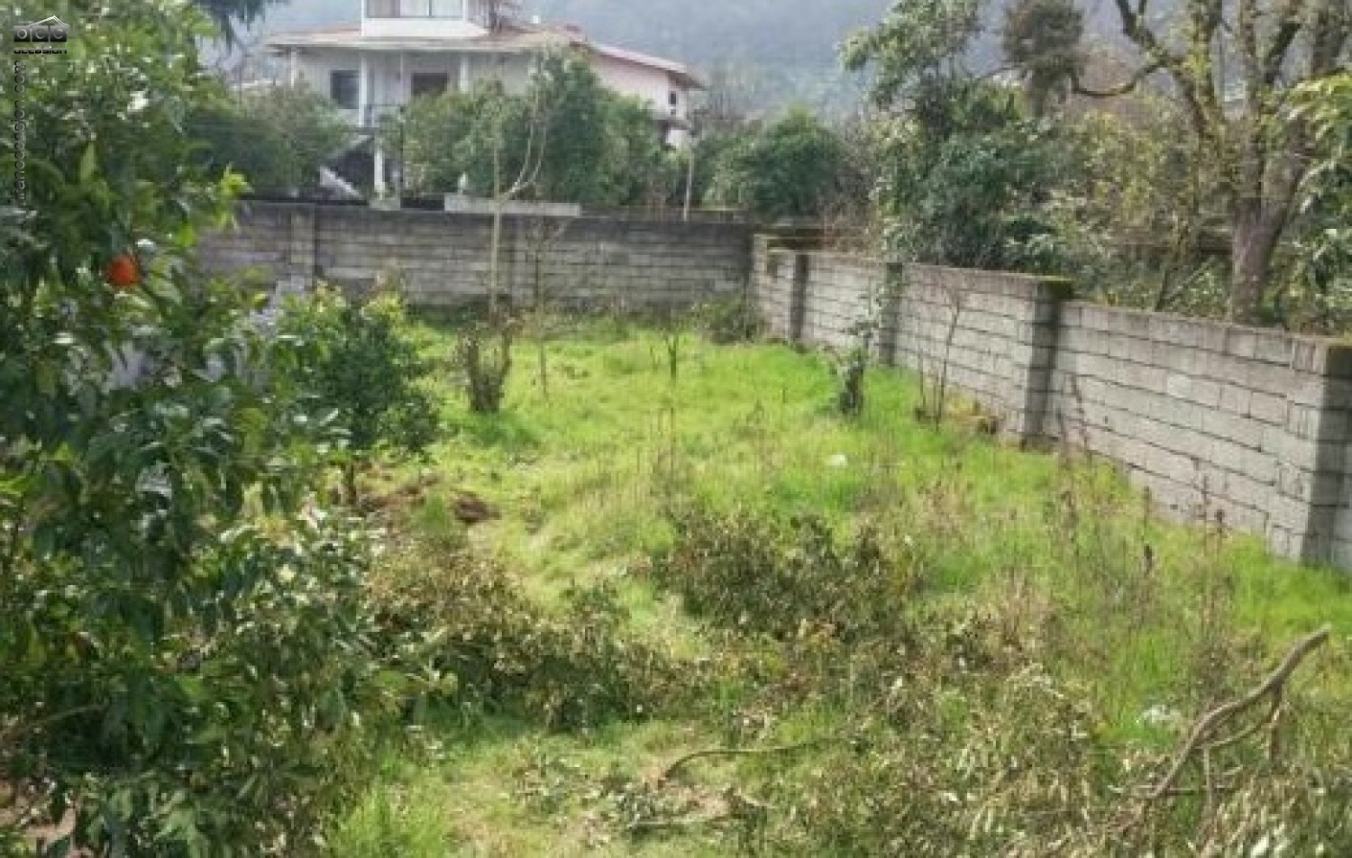 فروش باغ 2 دقیقه تا دریا