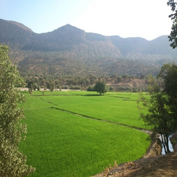 زمین سرمایه گذاری شمال