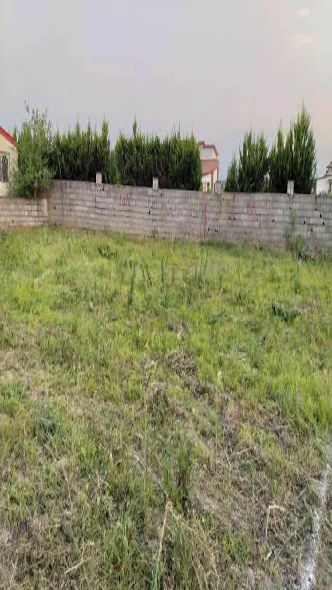 زمین داخل بافت شمال